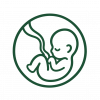 Pregnancy-Garbhini-Vyakarana